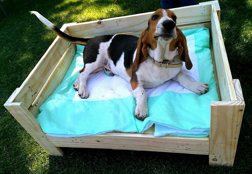 diy pallets wood dog bed