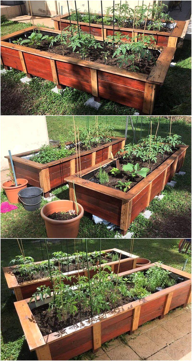 pallet garden raised beds